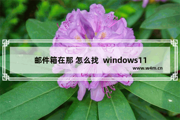 邮件箱在那 怎么找  windows11怎么查看电子邮件