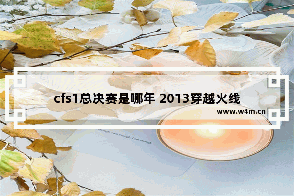 cfs1总决赛是哪年 2013穿越火线