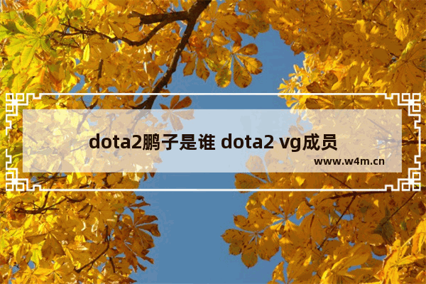 dota2鹏子是谁 dota2 vg成员