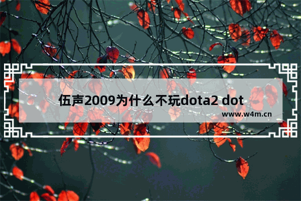 伍声2009为什么不玩dota2 dota2伍声