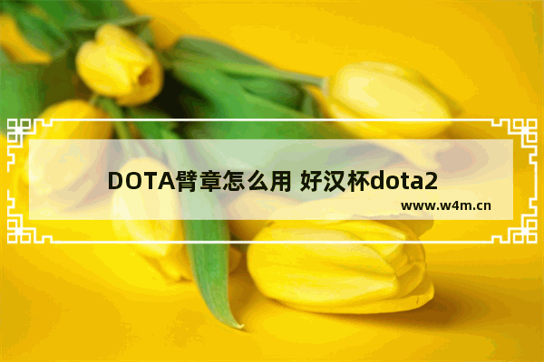 DOTA臂章怎么用 好汉杯dota2