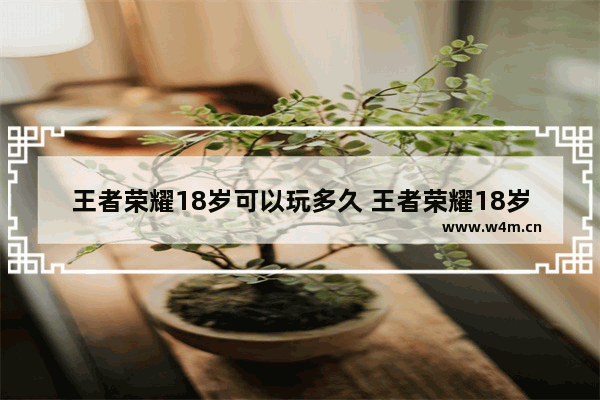 王者荣耀18岁可以玩多久 王者荣耀18岁