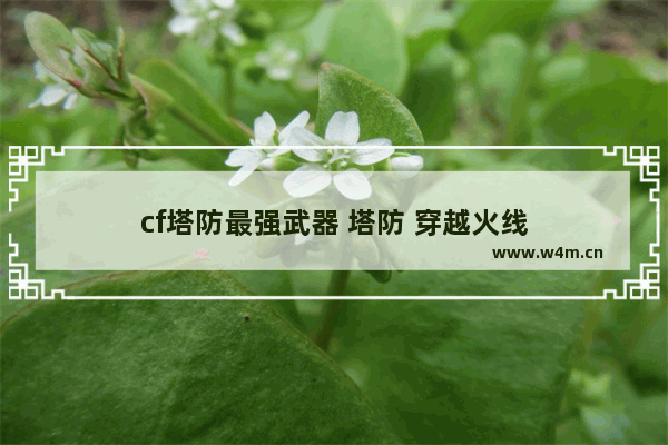 cf塔防最强武器 塔防 穿越火线