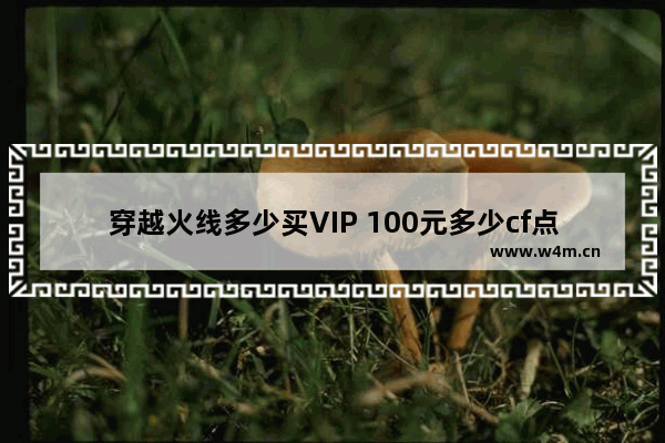 穿越火线多少买VIP 100元多少cf点券