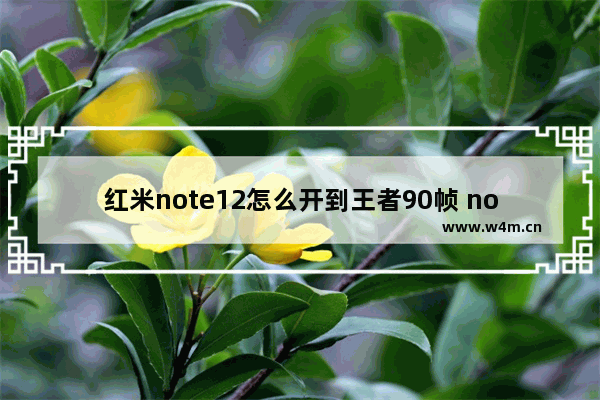 红米note12怎么开到王者90帧 note12tpro王者多少帧