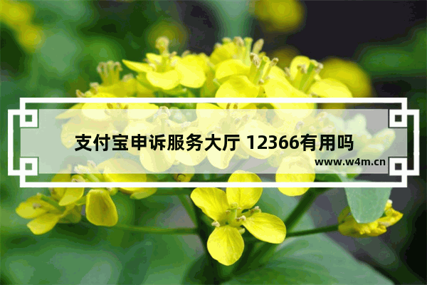 支付宝申诉服务大厅 12366有用吗