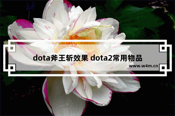 dota斧王斩效果 dota2常用物品