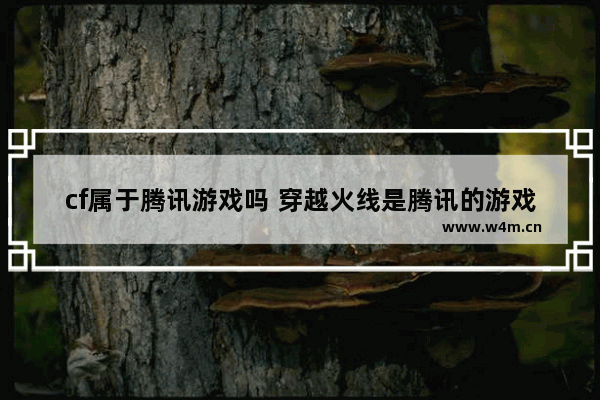 cf属于腾讯游戏吗 穿越火线是腾讯的游戏吗