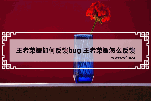 王者荣耀如何反馈bug 王者荣耀怎么反馈bug