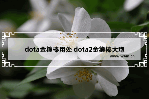 dota金箍棒用处 dota2金箍棒大炮