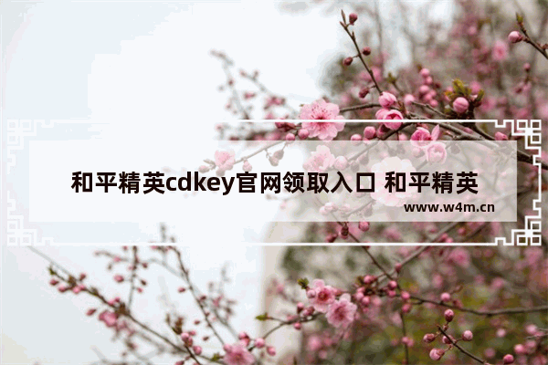 和平精英cdkey官网领取入口 和平精英时装领取方法