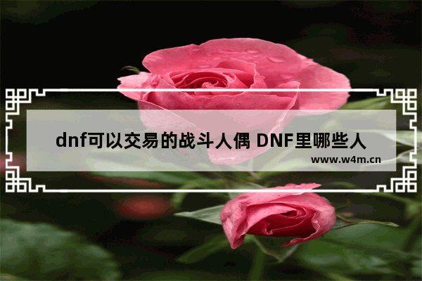 dnf可以交易的战斗人偶 DNF里哪些人偶是辅助型的 （就是加状态的）