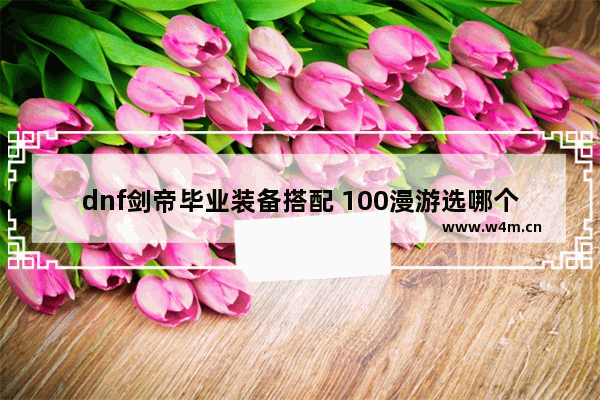 dnf剑帝毕业装备搭配 100漫游选哪个毕业武器