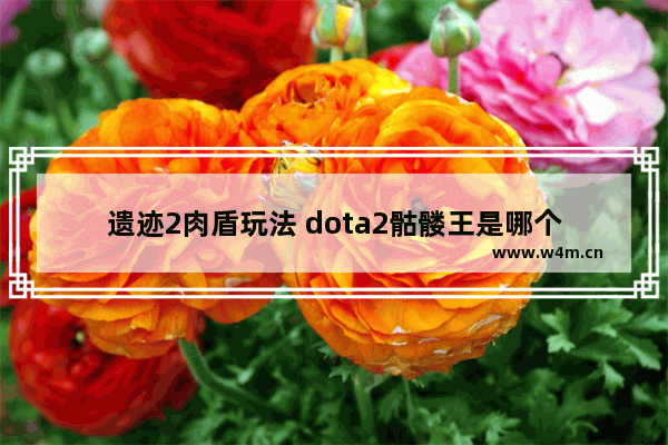 遗迹2肉盾玩法 dota2骷髅王是哪个