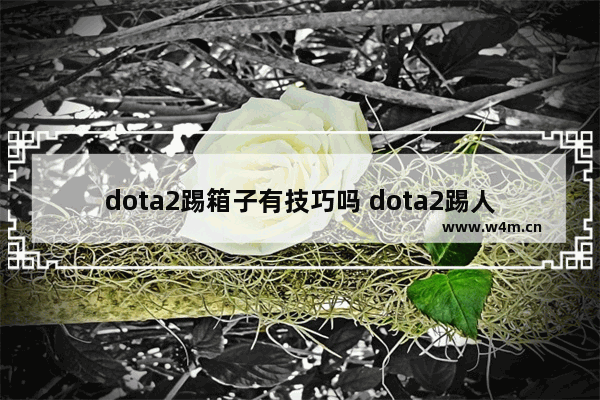 dota2踢箱子有技巧吗 dota2踢人