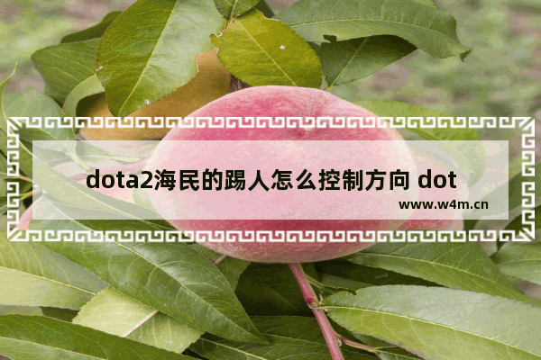 dota2海民的踢人怎么控制方向 dota2 踢人