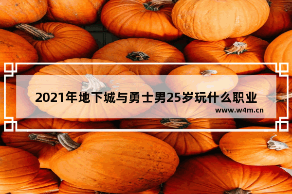 2021年地下城与勇士男25岁玩什么职业好 地下城与勇士25话大全