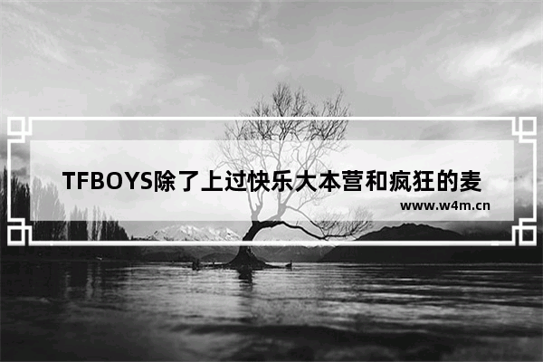 TFBOYS除了上过快乐大本营和疯狂的麦咭还上过什么节目 三小石像光遇