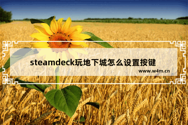 steamdeck玩地下城怎么设置按键 地下城与勇士常用按键设置