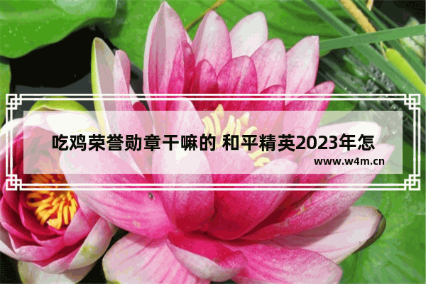 吃鸡荣誉勋章干嘛的 和平精英2023年怎么获得荣耀勋章