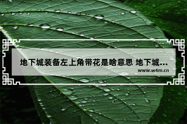 地下城装备左上角带花是啥意思 地下城与勇士的奇葩装备