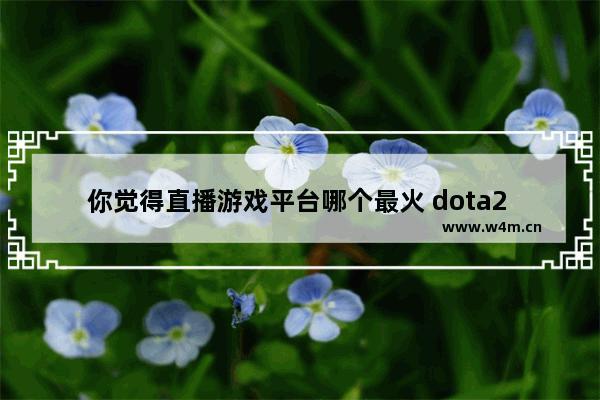 你觉得直播游戏平台哪个最火 dota2 小智