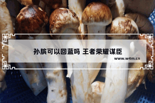 孙膑可以回蓝吗 王者荣耀谋臣