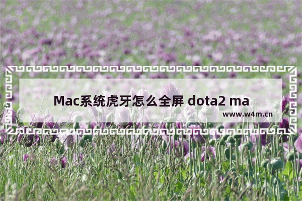 Mac系统虎牙怎么全屏 dota2 mac 全屏