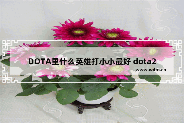 DOTA里什么英雄打小小最好 dota2简单英雄