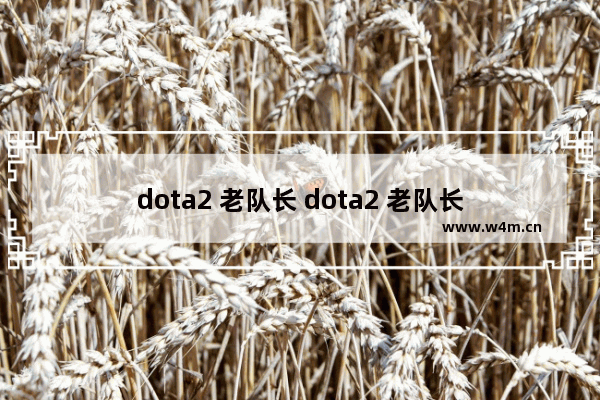 dota2 老队长 dota2 老队长