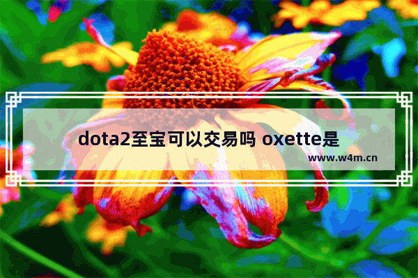 dota2至宝可以交易吗 oxette是奢侈品吗