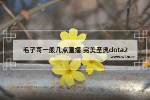 毛子哥一般几点直播 完美圣典dota2