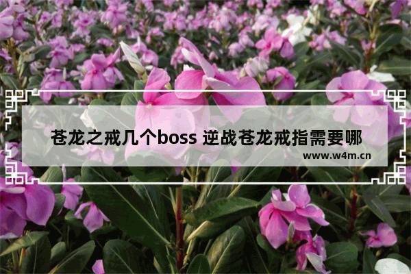 苍龙之戒几个boss 逆战苍龙戒指需要哪些boss角色