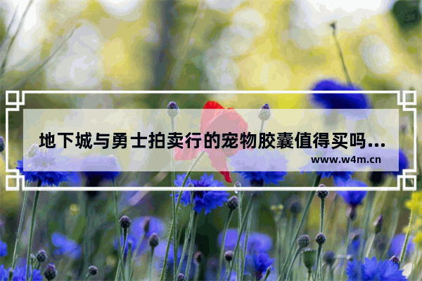 地下城与勇士拍卖行的宠物胶囊值得买吗 那个最好 最新地下城与勇士宠物