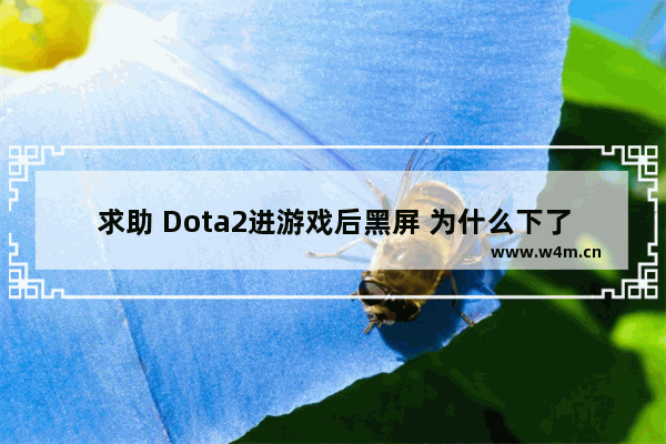 求助 Dota2进游戏后黑屏 为什么下了DOTA2进入游戏一直是黑屏有声音没图像