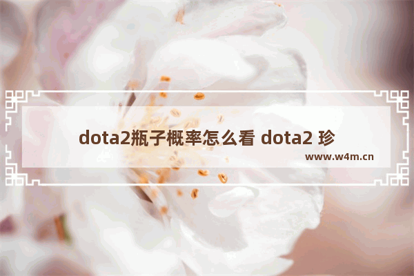 dota2瓶子概率怎么看 dota2 珍藏概率