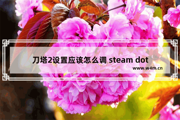 刀塔2设置应该怎么调 steam dota2设置