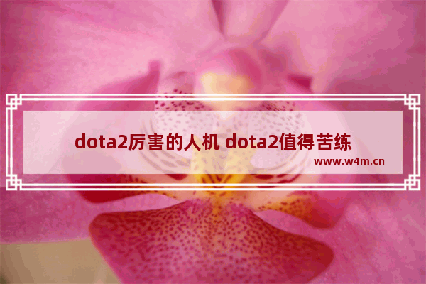 dota2厉害的人机 dota2值得苦练的10个英雄