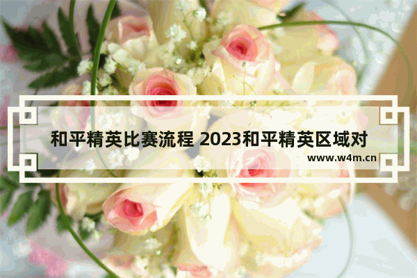 和平精英比赛流程 2023和平精英区域对抗赛比赛时间