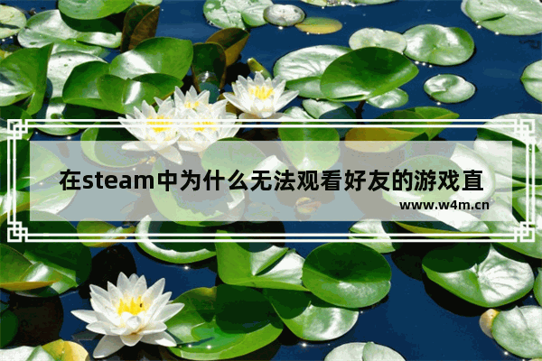 在steam中为什么无法观看好友的游戏直播 王者荣耀中怎么看正在游戏的好友