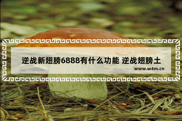 逆战新翅膀6888有什么功能 逆战翅膀土豪