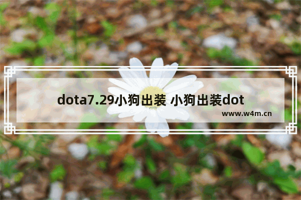 dota7.29小狗出装 小狗出装dota2