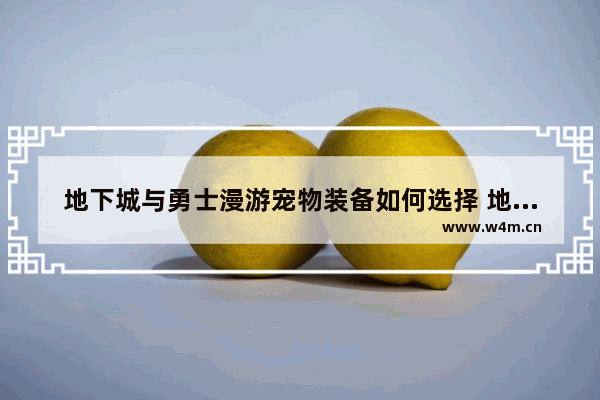 地下城与勇士漫游宠物装备如何选择 地下城与勇士满级活动装备怎么选