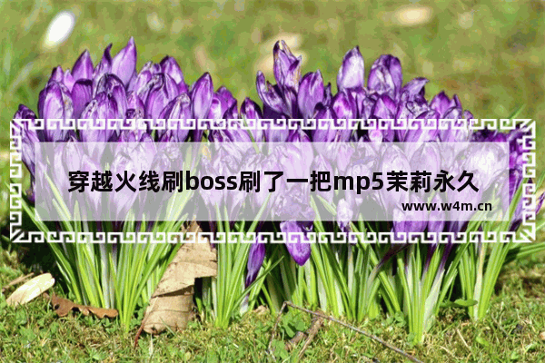 穿越火线刷boss刷了一把mp5茉莉永久 感觉杀威力太低 穿越火线的mP5