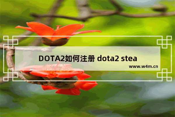 DOTA2如何注册 dota2 steam 激活码