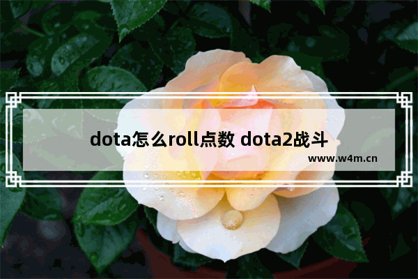 dota怎么roll点数 dota2战斗点数