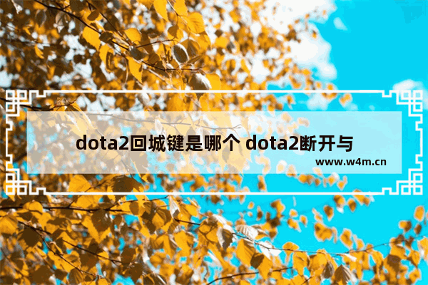 dota2回城键是哪个 dota2断开与服务器的连接