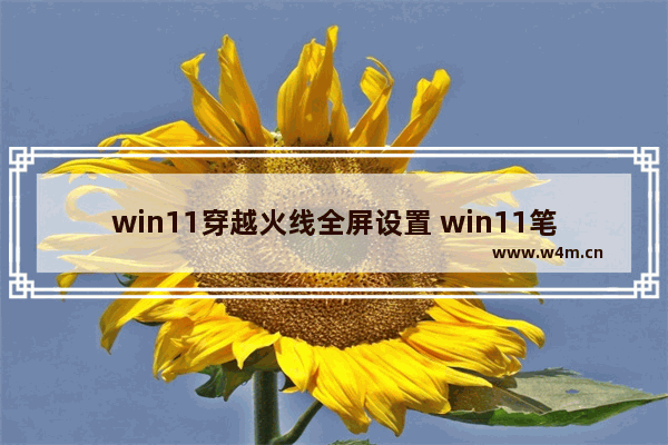 win11穿越火线全屏设置 win11笔记本cf怎么调全屏