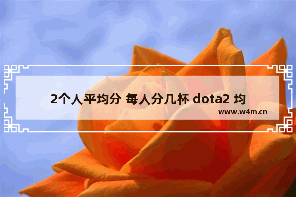 2个人平均分 每人分几杯 dota2 均分