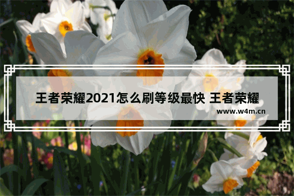 王者荣耀2021怎么刷等级最快 王者荣耀怎么提高技术